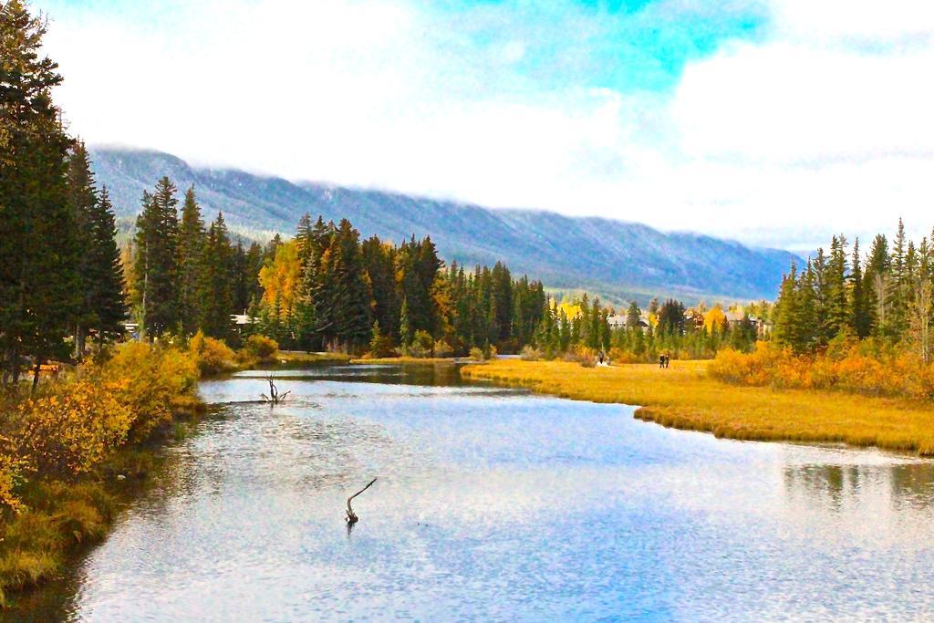 Luxury Canmore Vacations Apartment Exterior foto